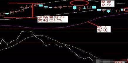 8.jpeg